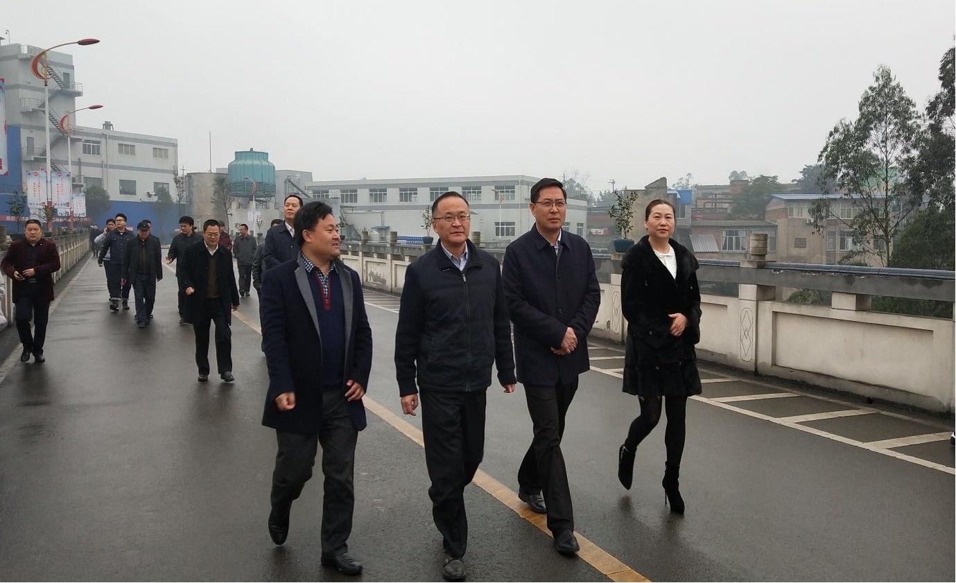 自貢市人大主任譚豹到馳宇公司調研工作